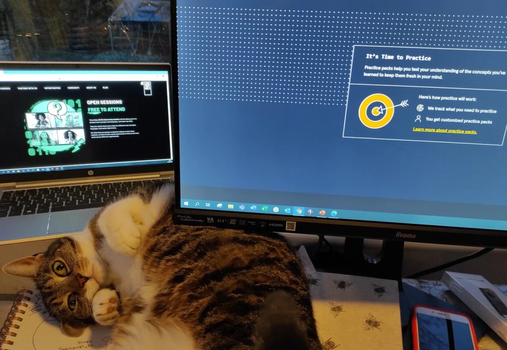 A naughty cat rolls around on my desk while I try to complete coding practice on my laptop